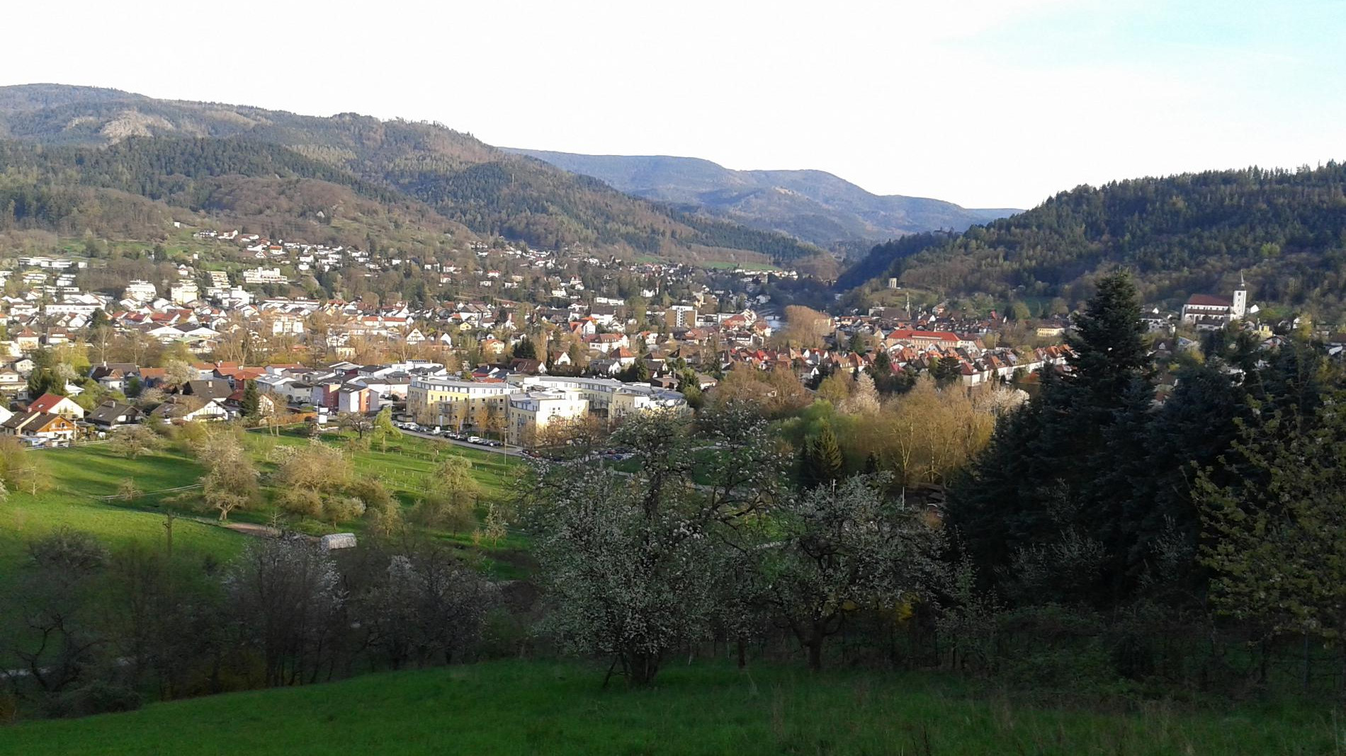 Blick auf Gernsbach