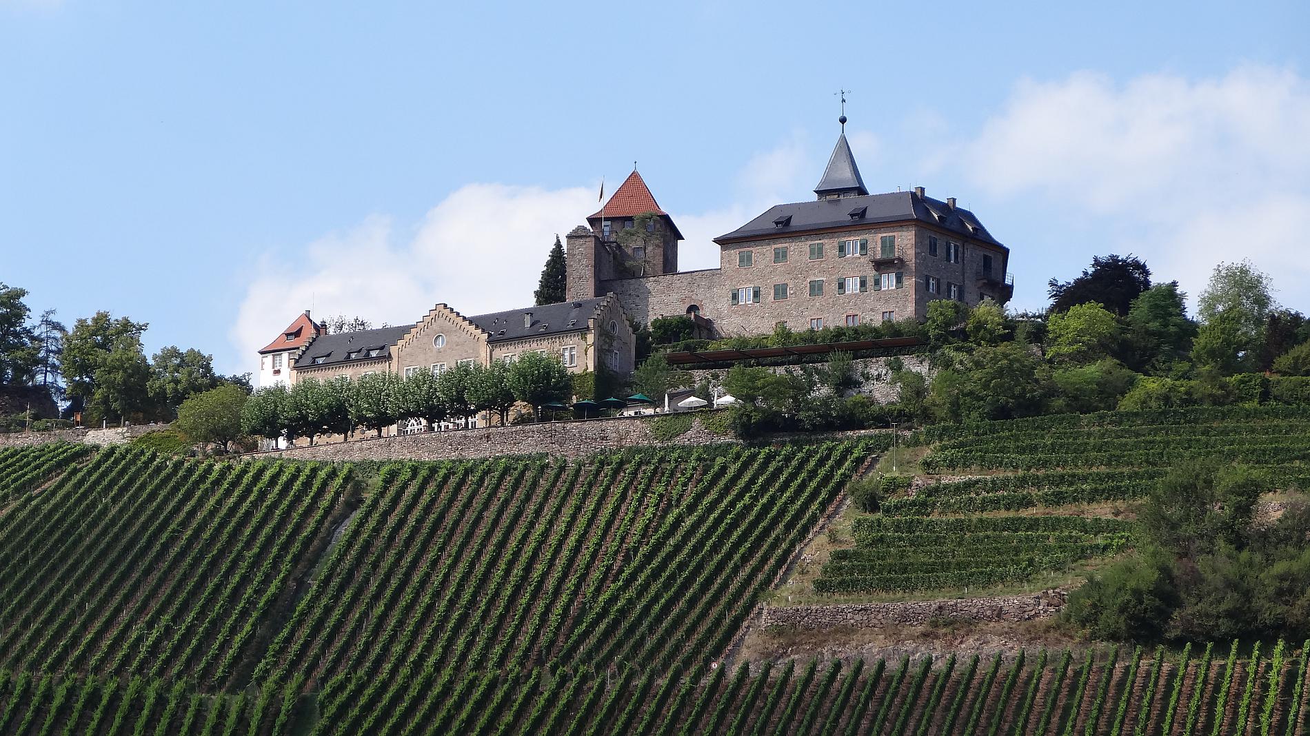 Schloss Eberstein mit Weinberg von Obertsrot aus